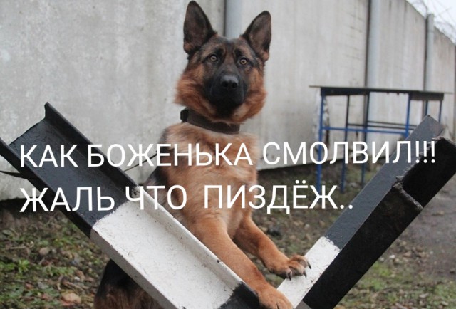 Россиянам запретят не только ввозить хамон, но и покупать его за границей