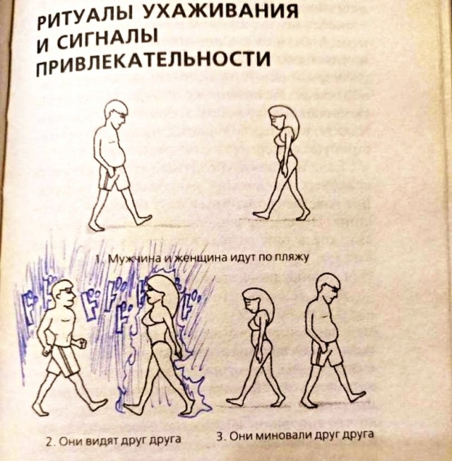 Картинки с надписями, истории и анекдоты 28.10.19