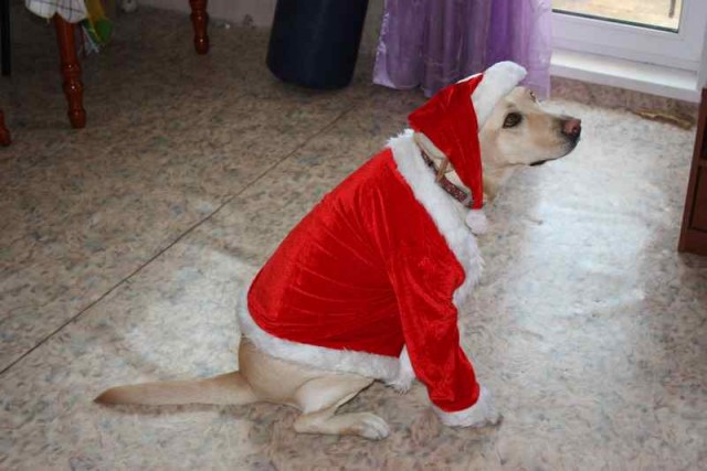 Новый тренд