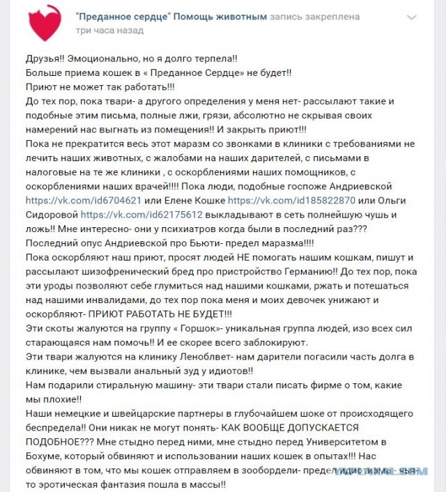 Помогите вернуть кота! Приют "Преданное сердце" украл кота и не отдает!-2