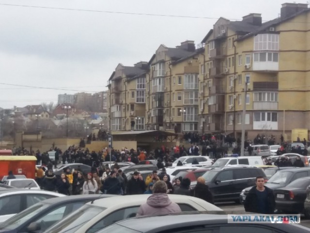 В Волгограде сын Тамерлана Носаева - заместителя представителя главы Чеченской Республики раскидывал деньги
