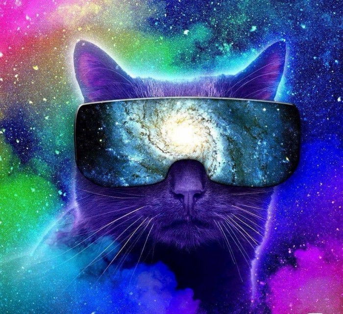 Котовторник 28.01.2020