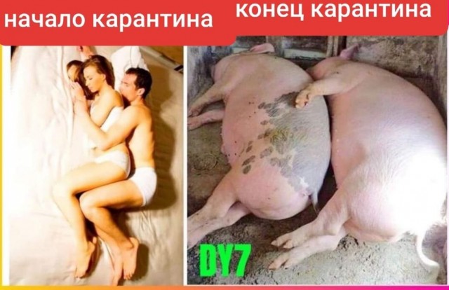 Бредзона 07.04.2020