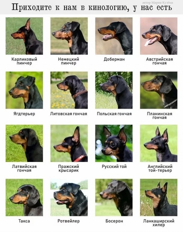 Так себе картинки 04.07.20