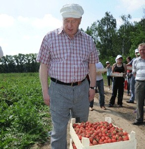 Как Жириновский на клубнике был