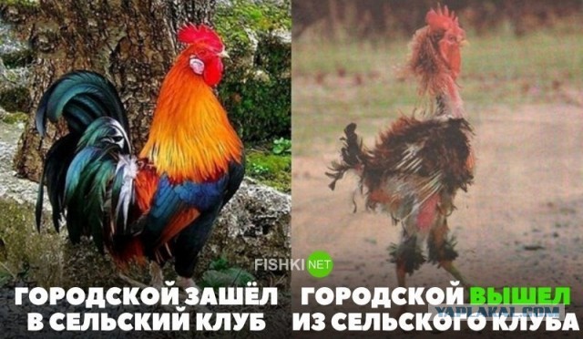 Как уйти с деревенской дискотеки живым