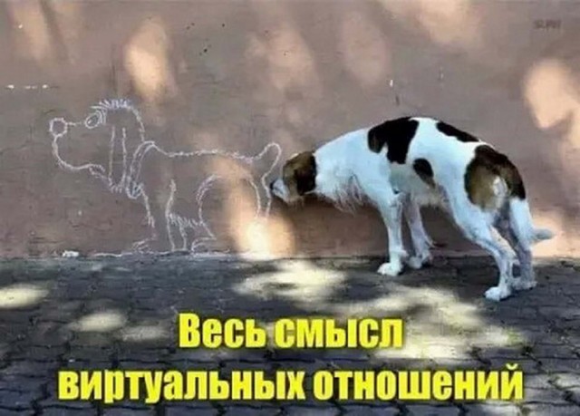 Годные картинки и не очень...
