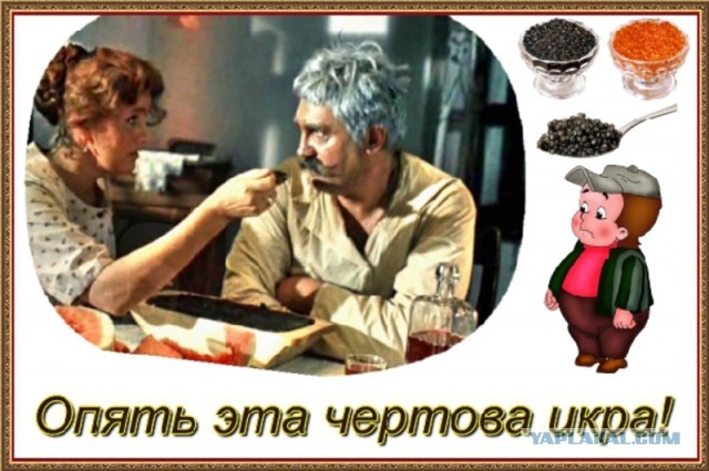 Просто икра белуги из Астрахани