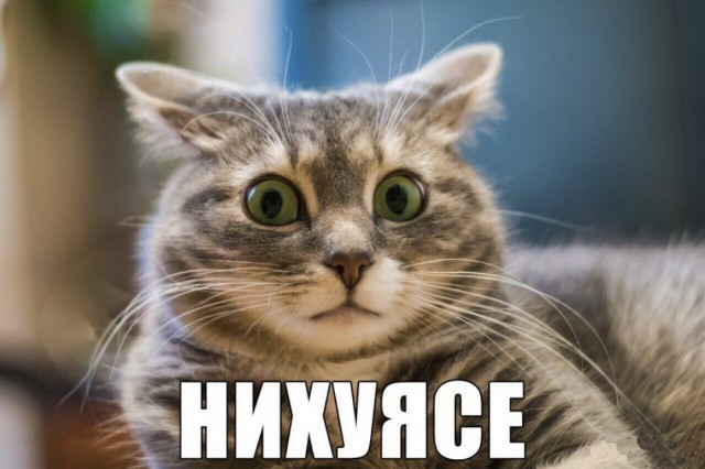 Москва - город женщин в поисках любви (немного соплей)
