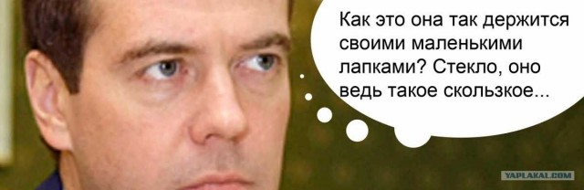 Биологи раскрыли секрет мгновенного исчезновения