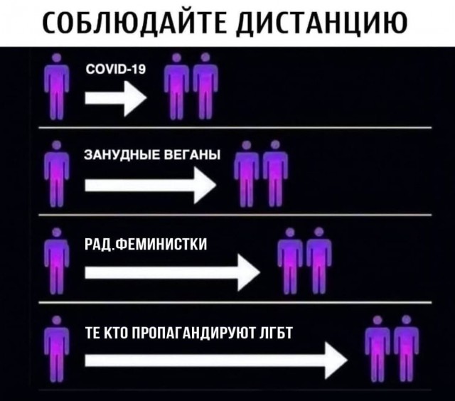 КАРАнтинки, новости с юмором