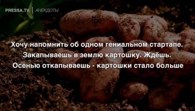 Картинки и мемы для настроения 03.06.2021