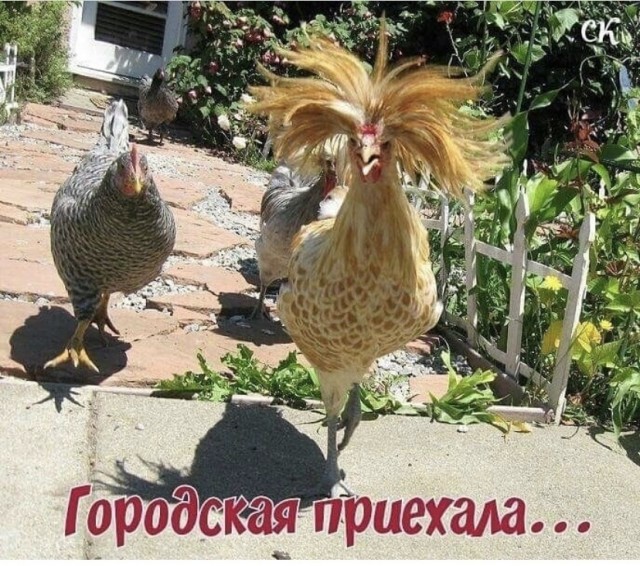 Так себе картинки 13.07.21