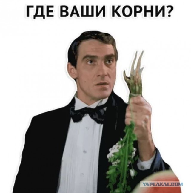 Скажите честно, вы Олимпиаду вообще смотрите?