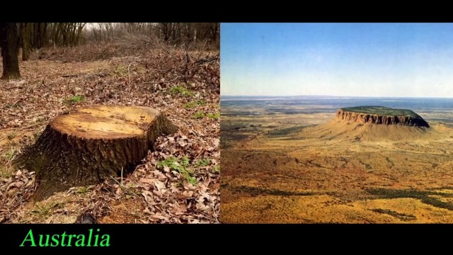 Какую тайну хранит Башня Дьявола