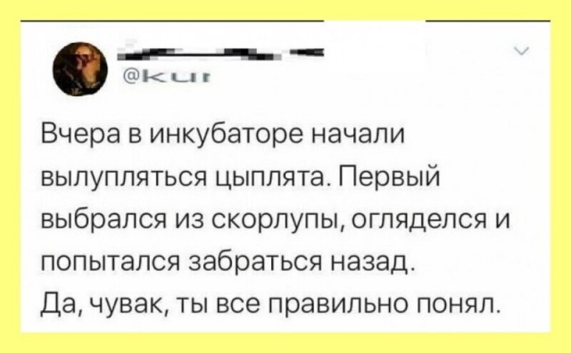 Баянисто-небаянистый юмор 15.08.21