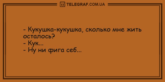 Картинки-баяны-бабаяны 01.09.2021