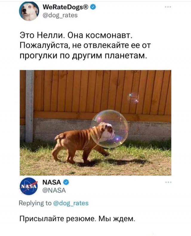 Так себе картинки 20.09.21