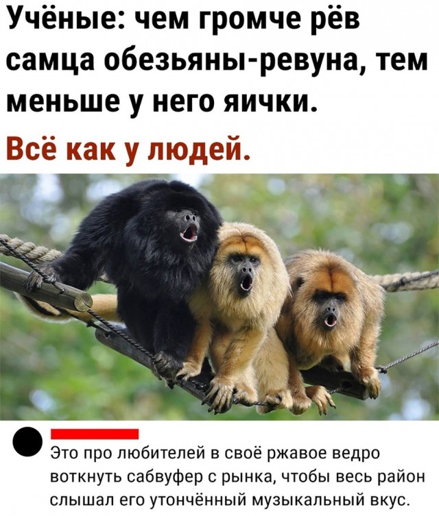 Так себе картинки 01.10.21