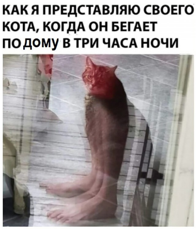 Алкопост 25.02.22