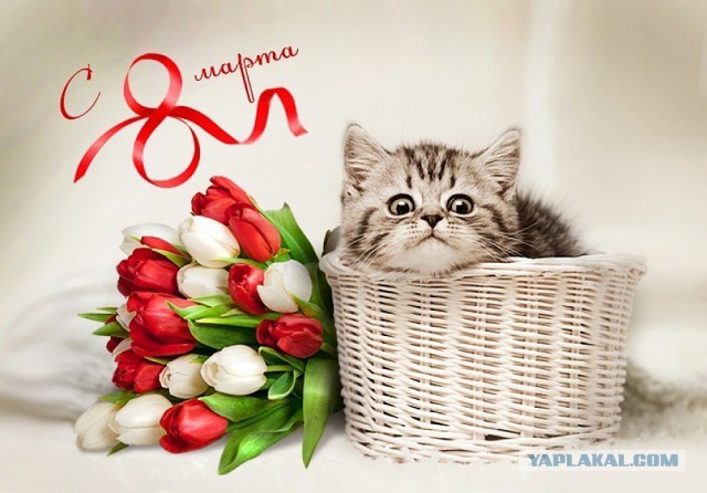 Кулинарная общалка