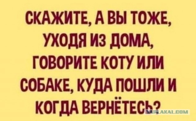 Солянка 16.03