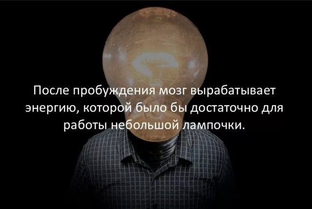 70 удивительных фактов