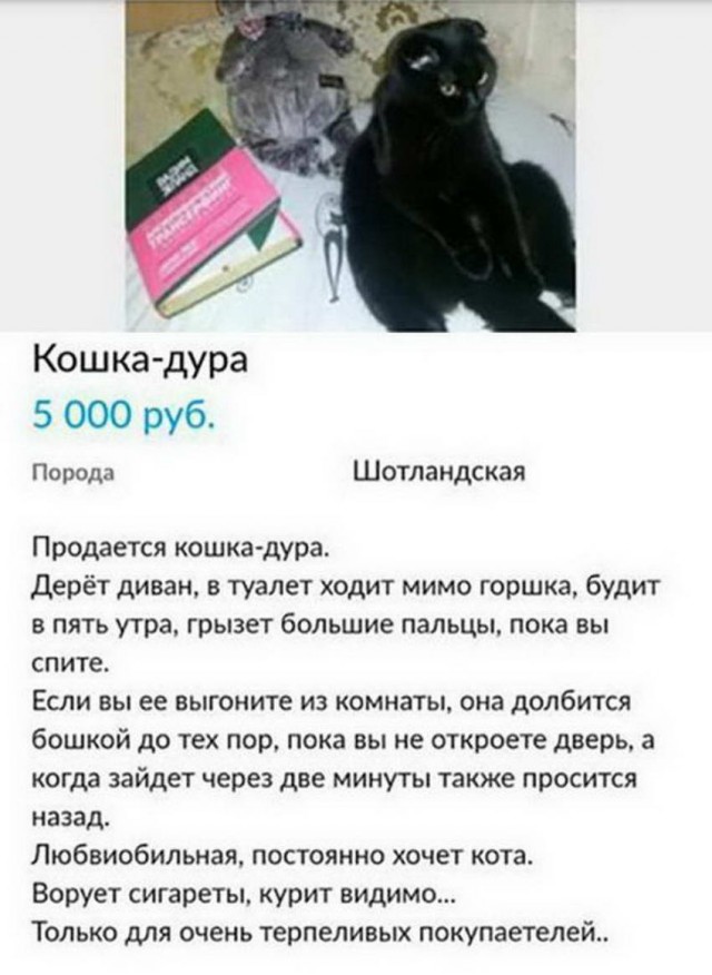 50 оттенков серого. Vol.3 Или самосвал баянов