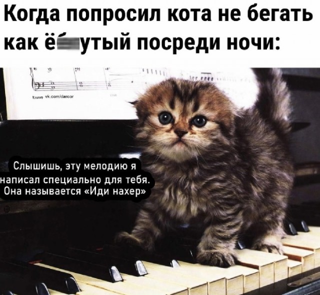 Картинки с надписями и всякие жизненные фразы