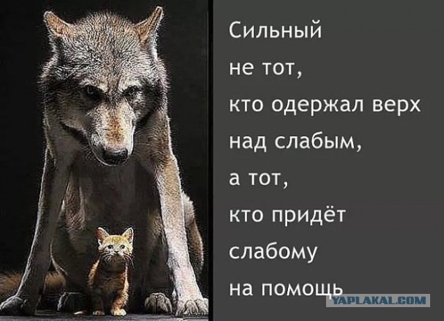 Супружеская измена. Кто Реально виноват?
