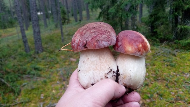 Отдых на воде в Карелии
