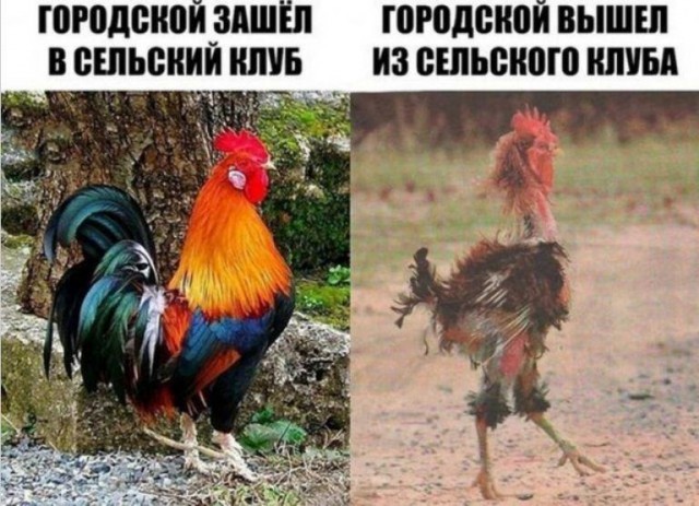 Так себе картинки 17.06.22