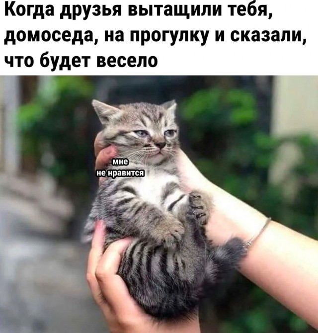 Так себе картинки 09.07.22