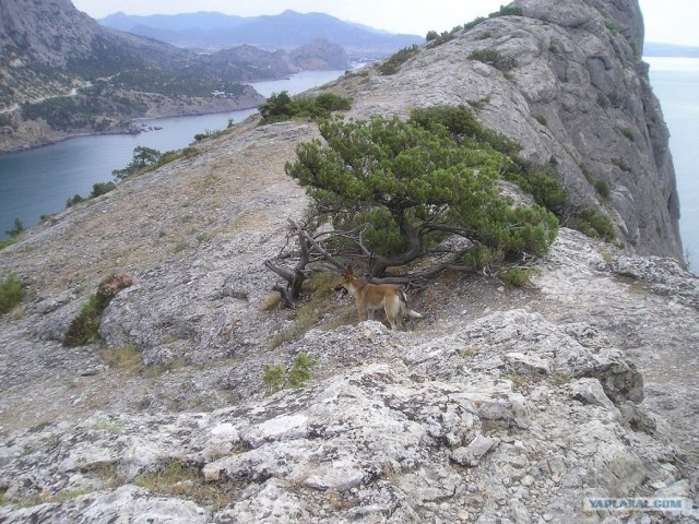 Прогулка по Крыму