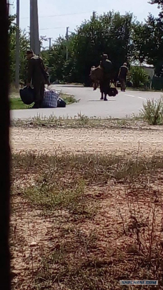 ВСУ объявили о начале наступления на южном фронте