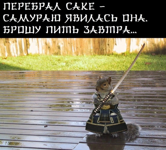 Юмор в картинках и без