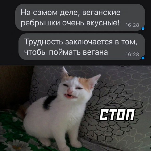 Картинки и мемы. Выходные близко...