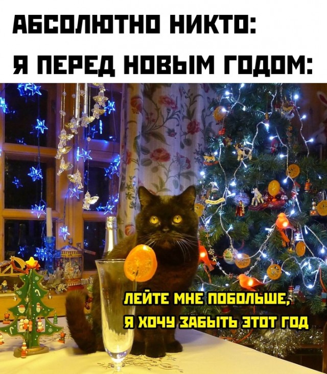 Картинки и мемы, всем хороших выходных