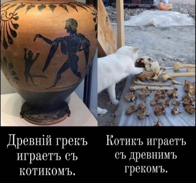 Победная поступь идиотизма по планете – том 7