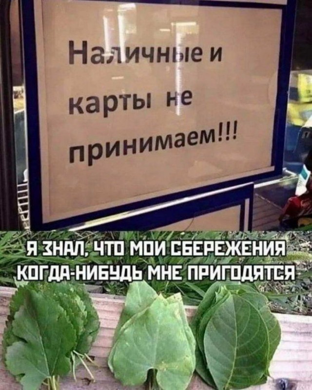 Картинки и мемы. Выходные близко...