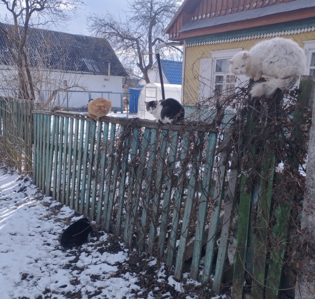 Дождалась