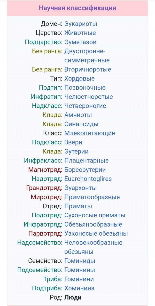А что, так можно было?