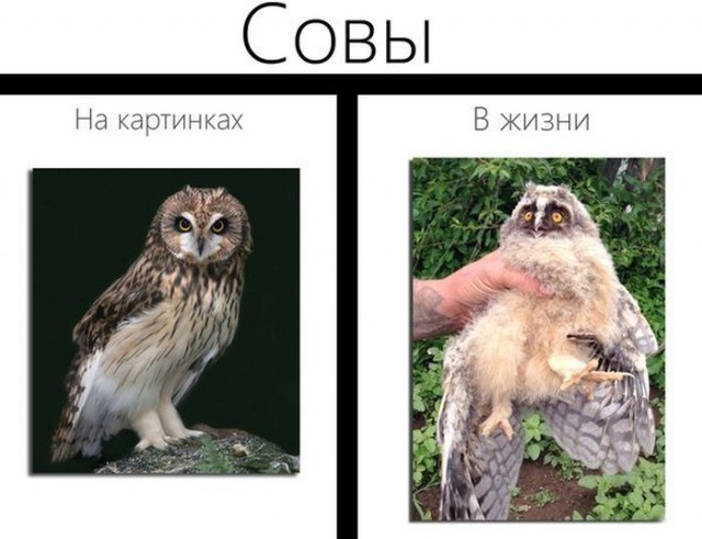 Так себе картинки 03.05.23