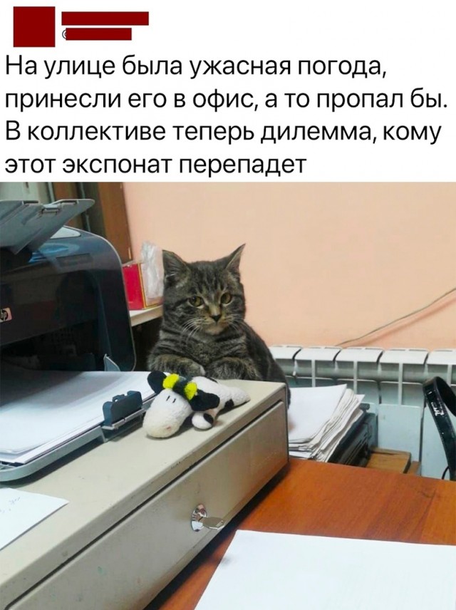 Так себе картинки 23.06.23