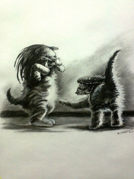 Нуштош 03.08.2023