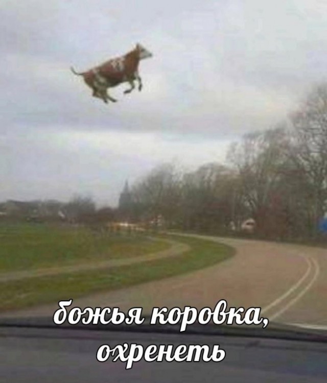 Так себе картинки 05.08.23