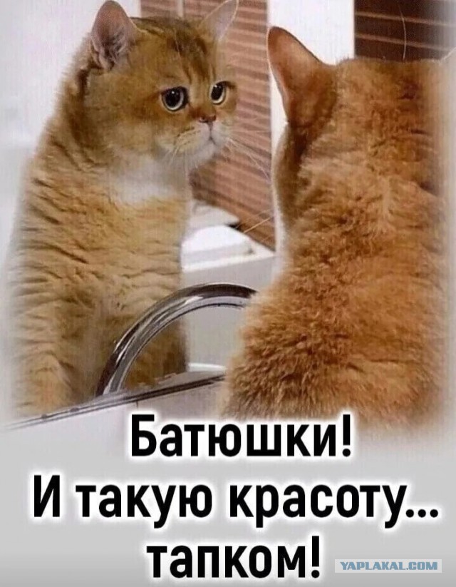 Вопрос к женщинам. Профессия мужа важна для жён? Или важнее его доходы?