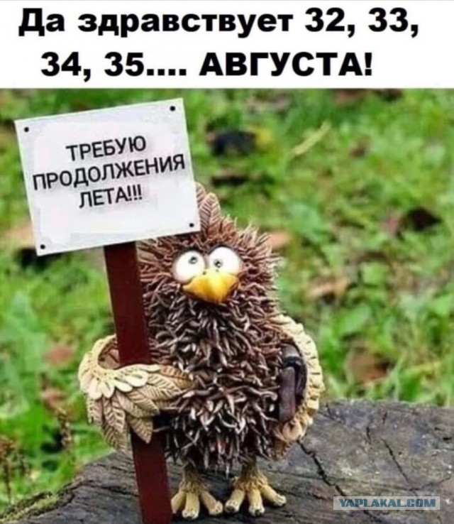 Так себе картинки 02.09.23