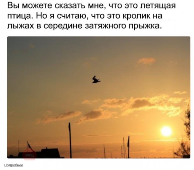 «Тайсон отдаёт Ван Гогу откушенное у Холифилда ухо»