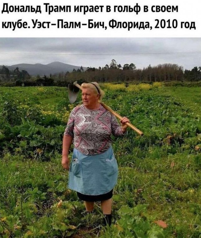 Картинки всяческие от 31.01.2024
